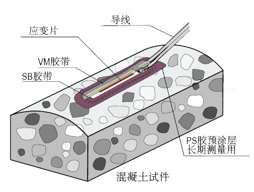 尊龙人生就是博ag旗舰厅(中国)官方网站