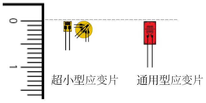 尊龙人生就是博ag旗舰厅(中国)官方网站