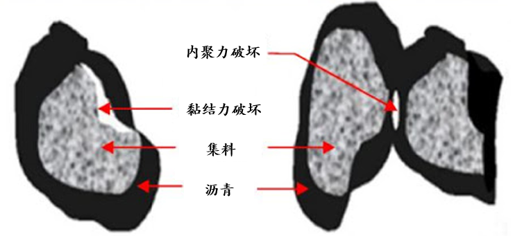 尊龙人生就是博ag旗舰厅(中国)官方网站