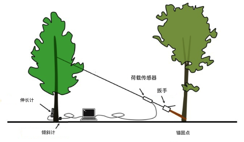 尊龙人生就是博ag旗舰厅(中国)官方网站